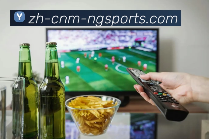 ng体育APP 封面图