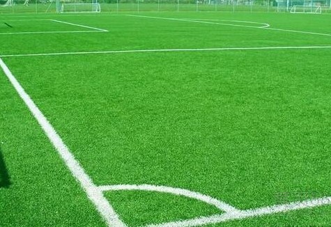 南宫体育官网- 沙托鲁启用环保草皮，成为法甲首个碳中和球场  